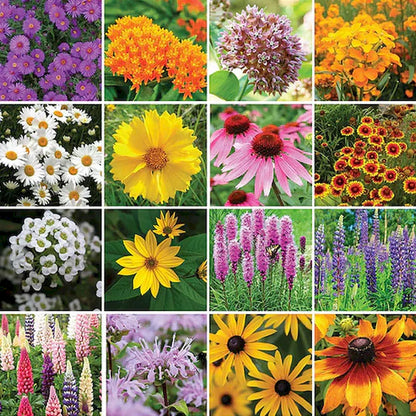 Wildflower Seed Mix