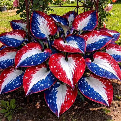 🎉Last Day Sale Off 40%🎉Celebrate America's 250th 🌱Premium Shade-Loving Hosta Seeds