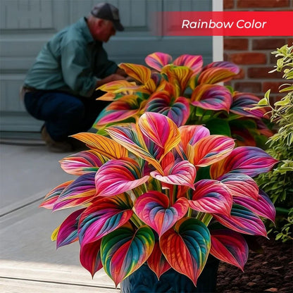 🎉Last Day Sale Off 40%🎉Celebrate America's 250th 🌱Premium Shade-Loving Hosta Seeds