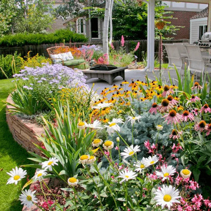 Mixed Perennial Flowers Seeds Over 60 Kinds Mixed
